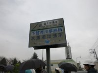 IMG (31)